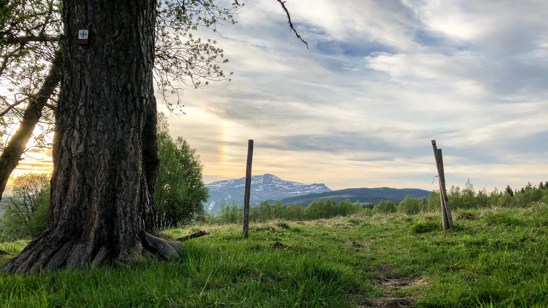 A scenic view along the St Olavs Way in Åre