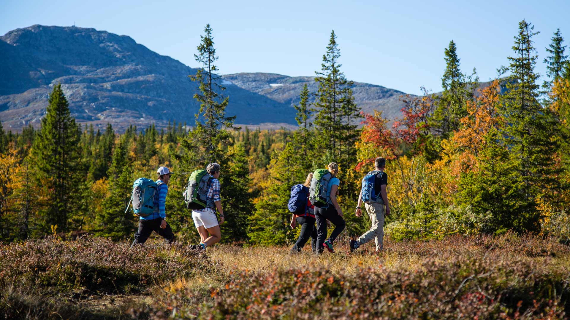 Vandring till Byxtjärn i Åre