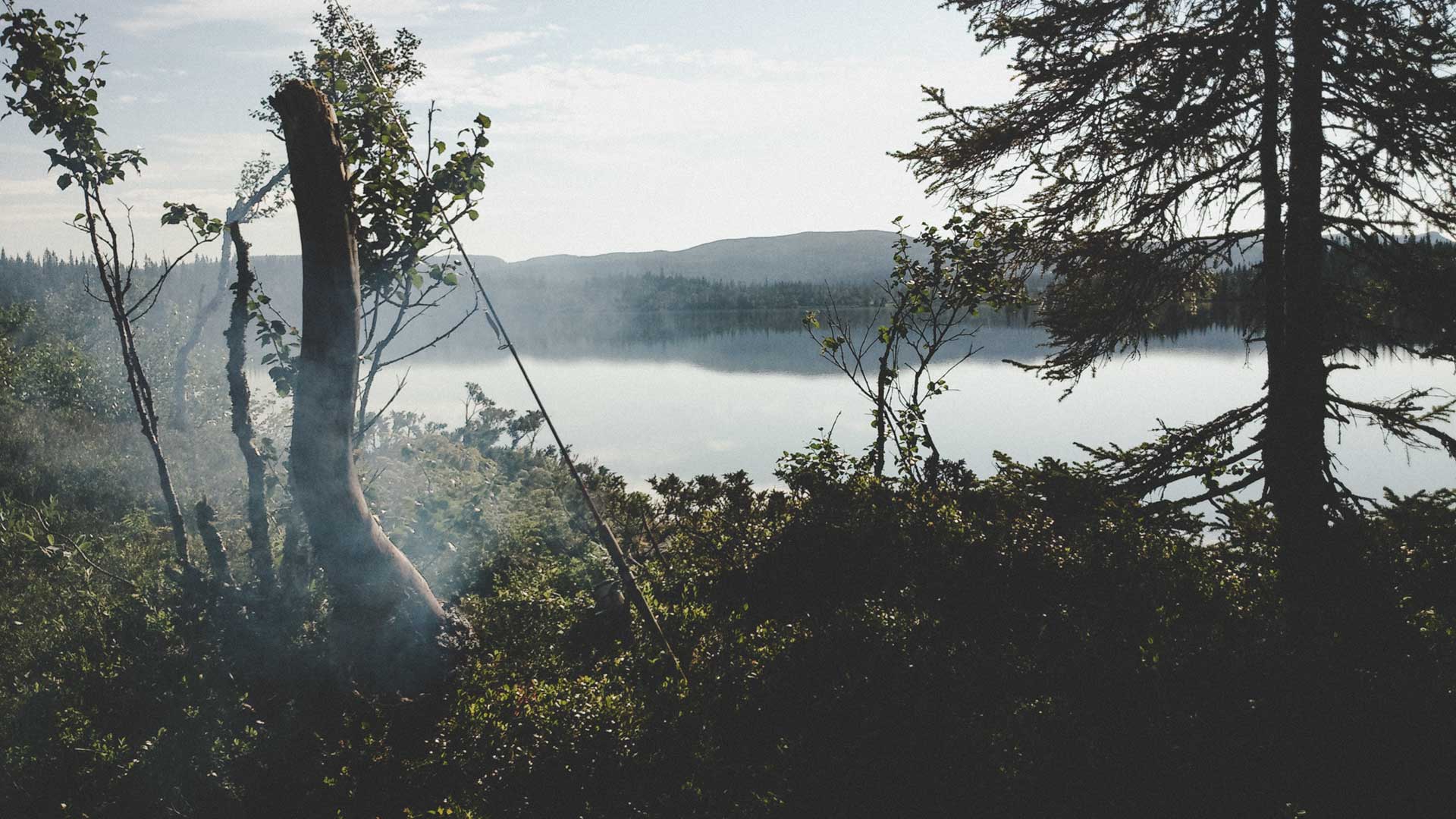 Fjällsport Duved