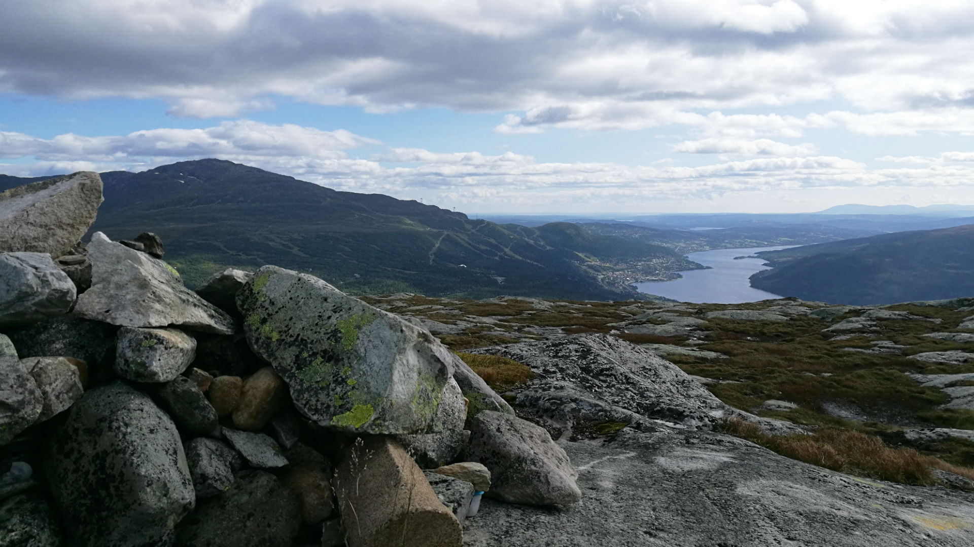 Mullfjällets topp. Duved.