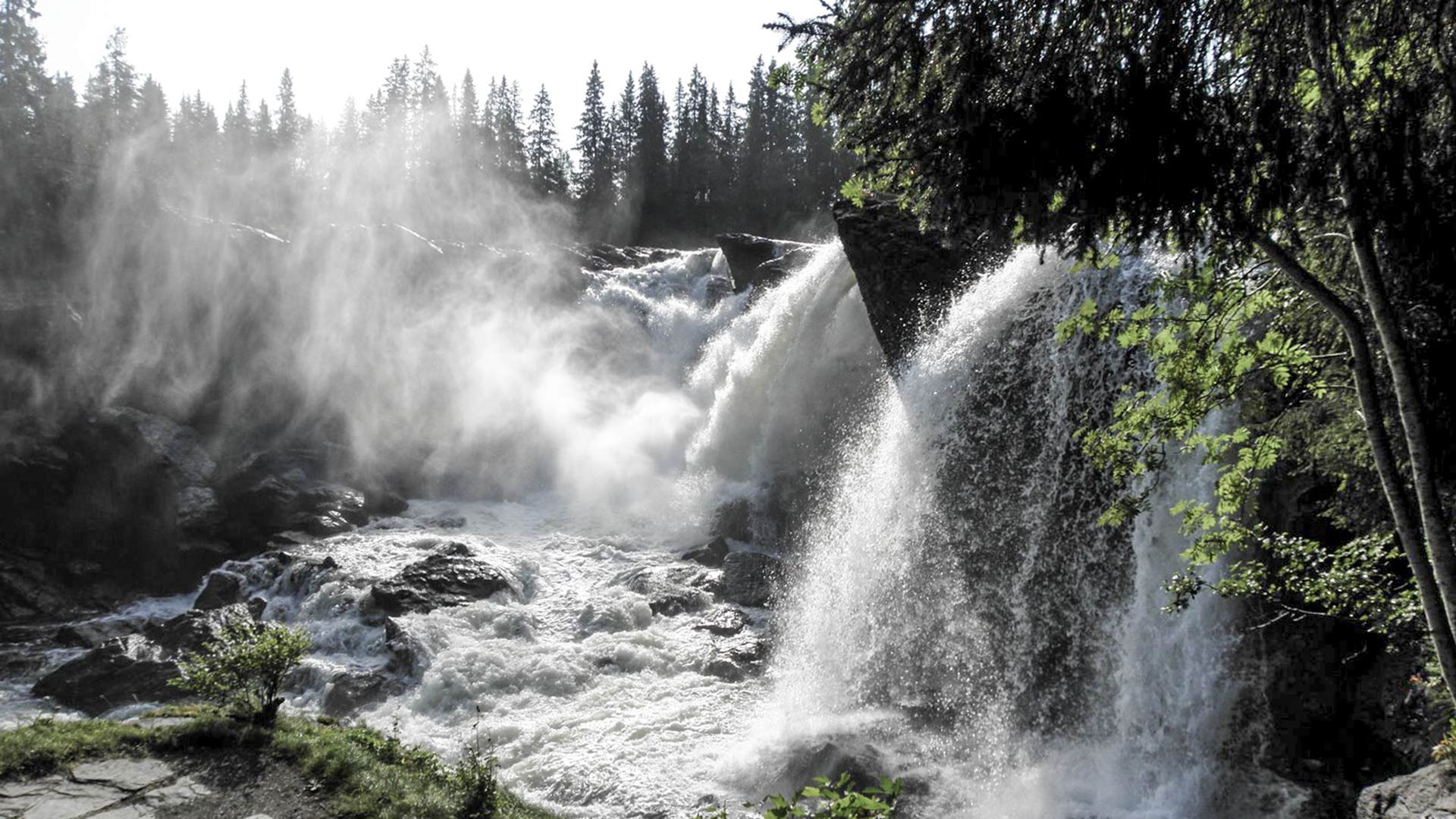 Dånande Ristafallet – utforska Åre