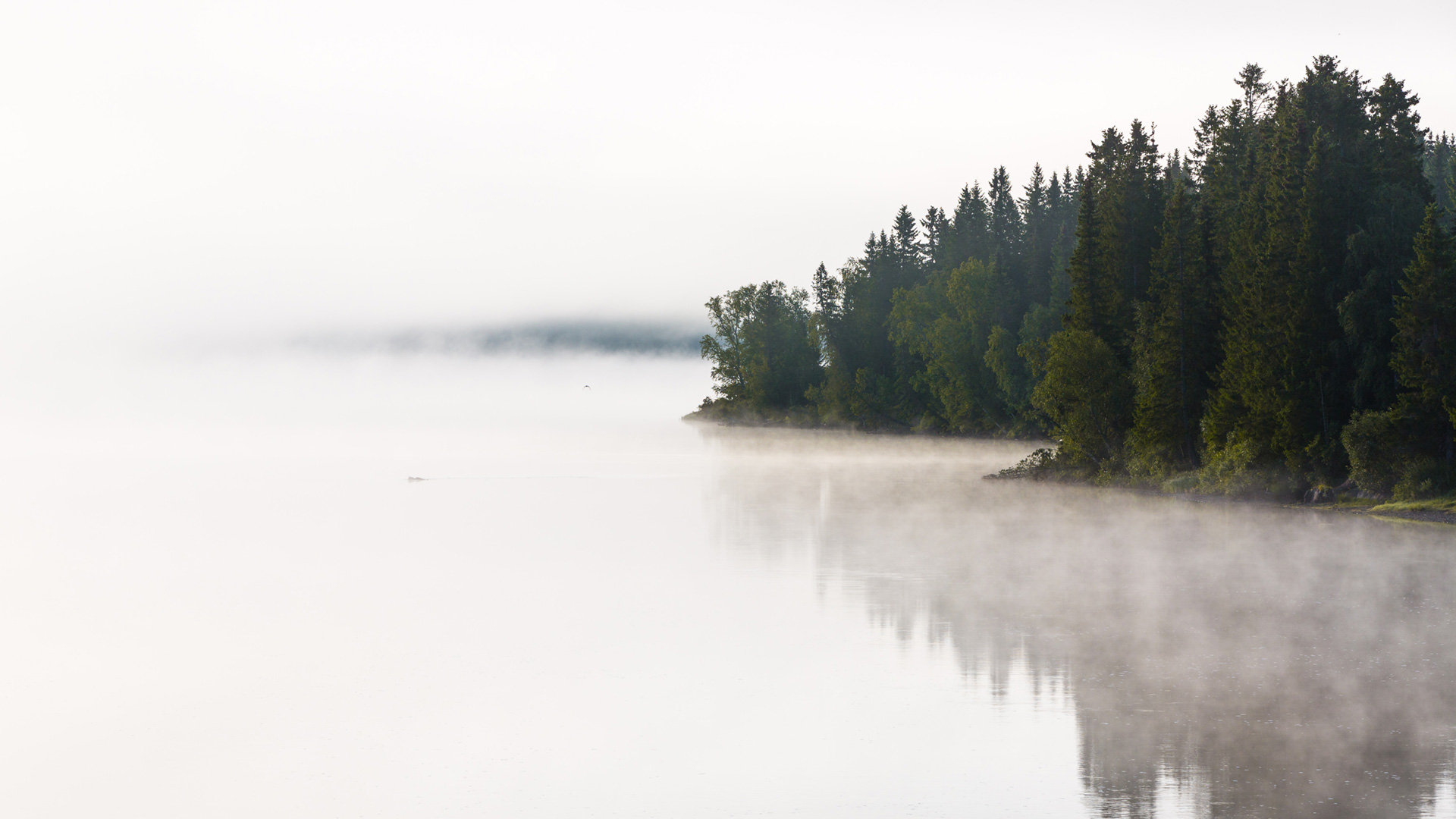 Vatten, Åre. Foto: Niclas Vestefjell