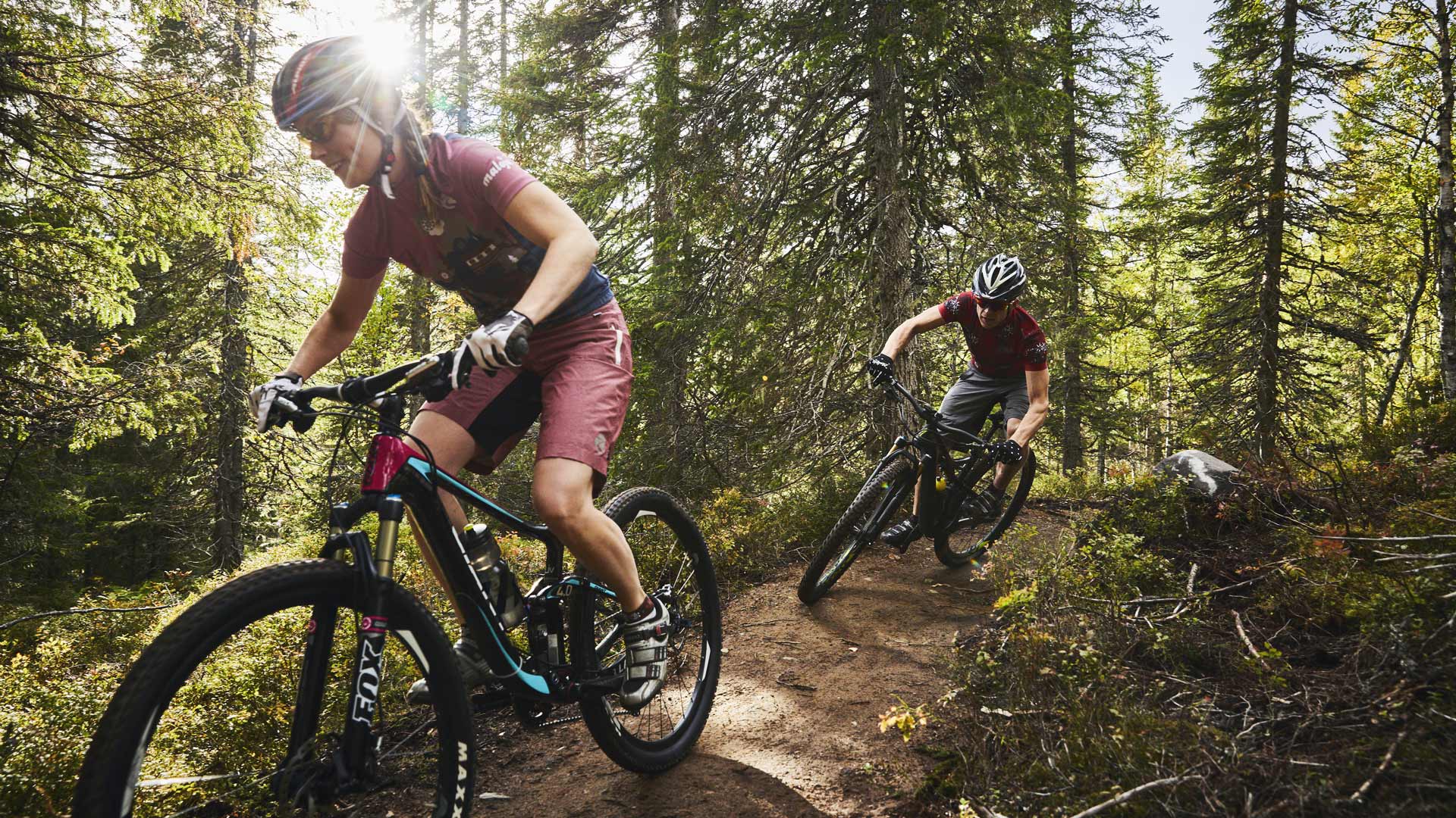 XC-cyklister på stig i Åre Björnen