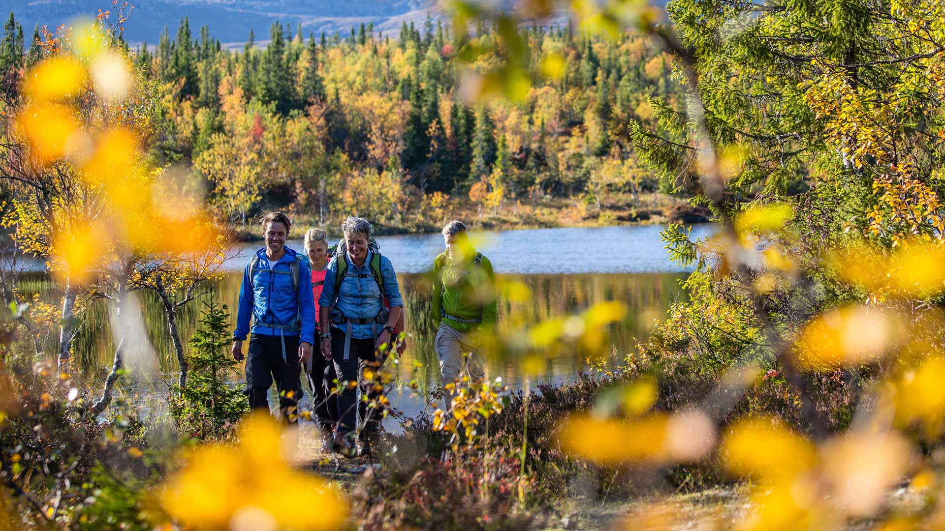 Vandra i Åre