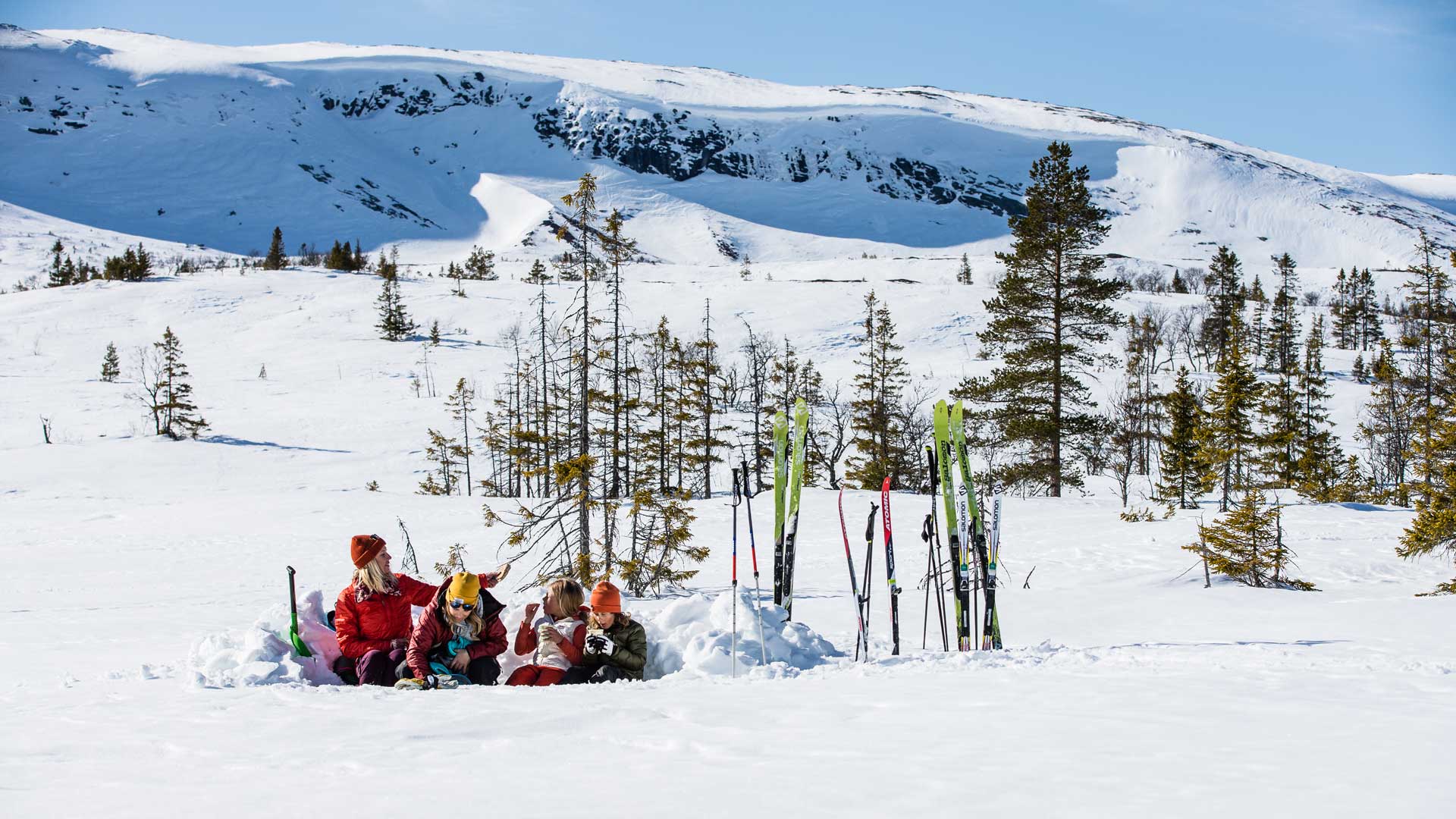 Solgrop - turåkning i Ullådalen - Springtime Tips