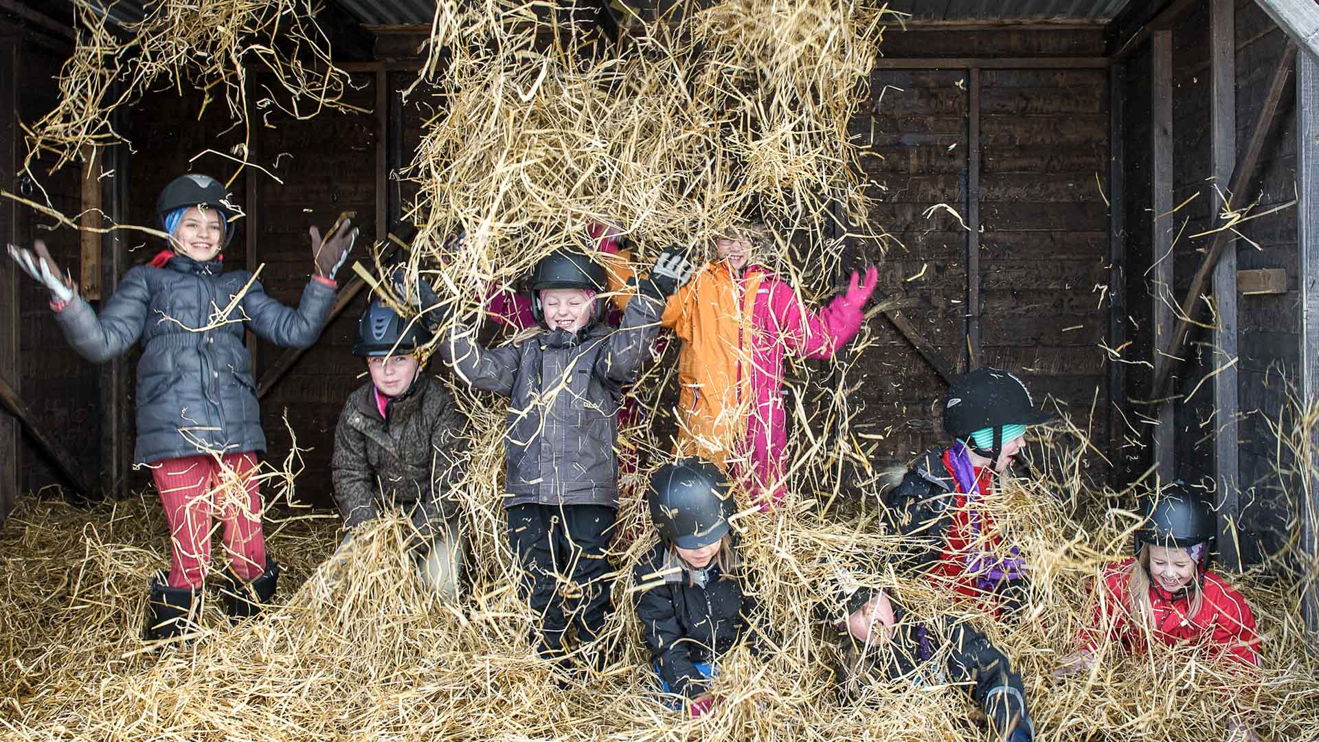 Stallkul hos Åre Ridklubb