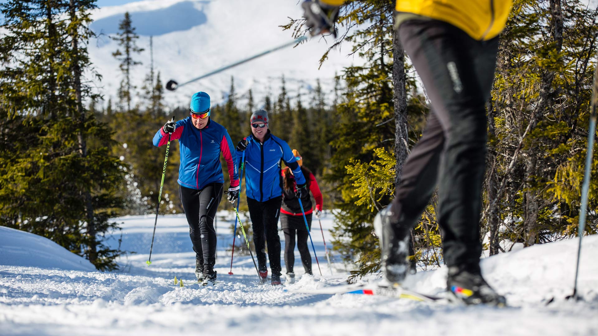 Längdskidåkning, Åre
