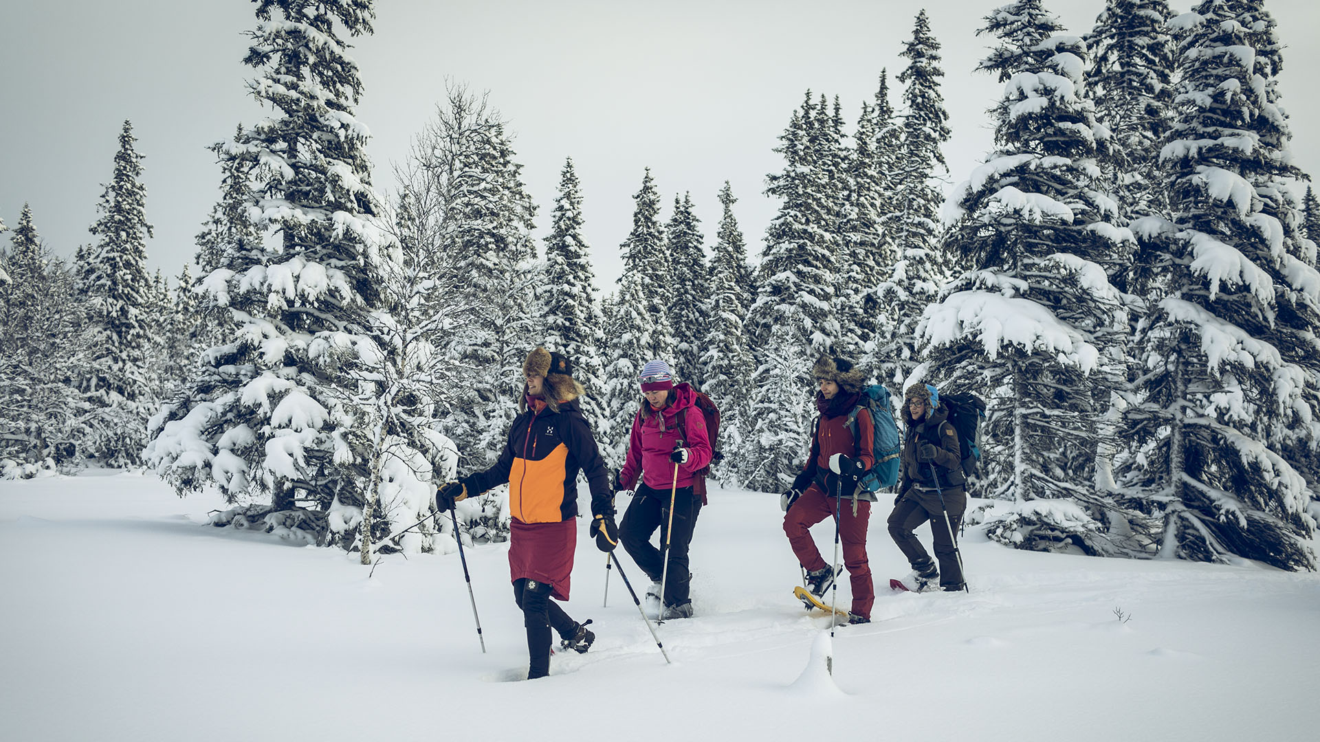 Snowshoeing in winter landscape.