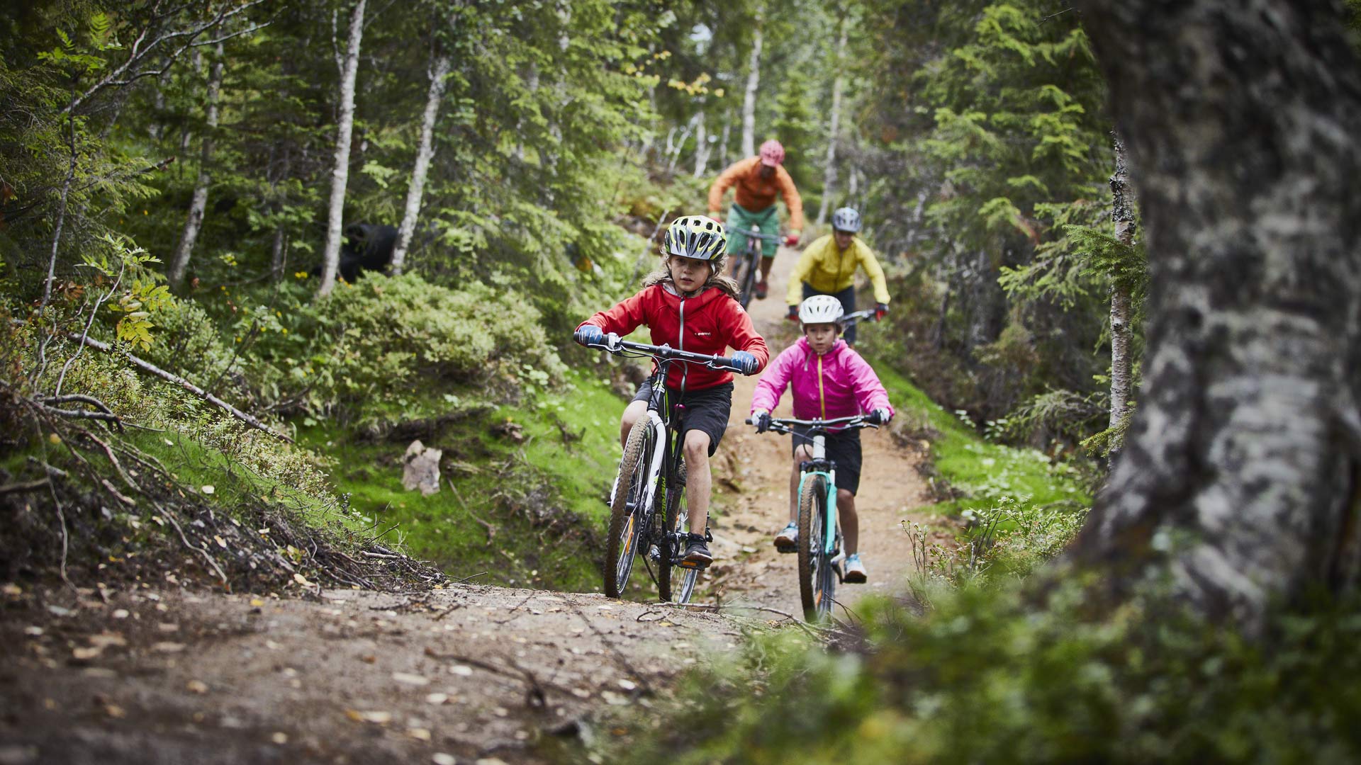 Familj som cyklar stigcykling i Björnen i åre