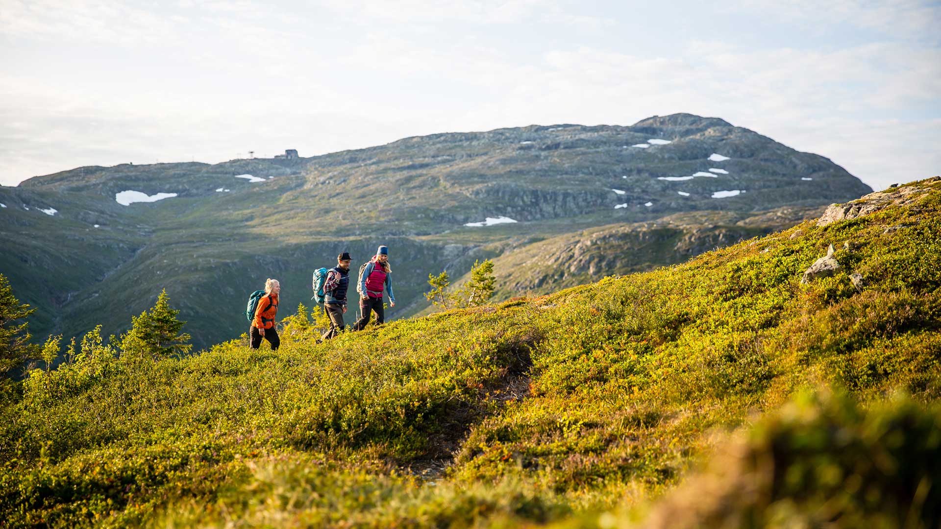 Vandra i Åre - vandring med Åreskutan i bakgrunden