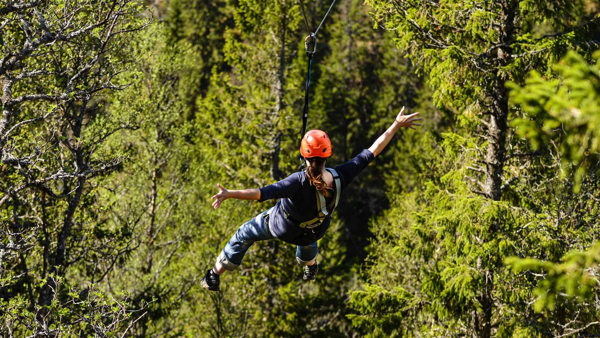 Zipline green