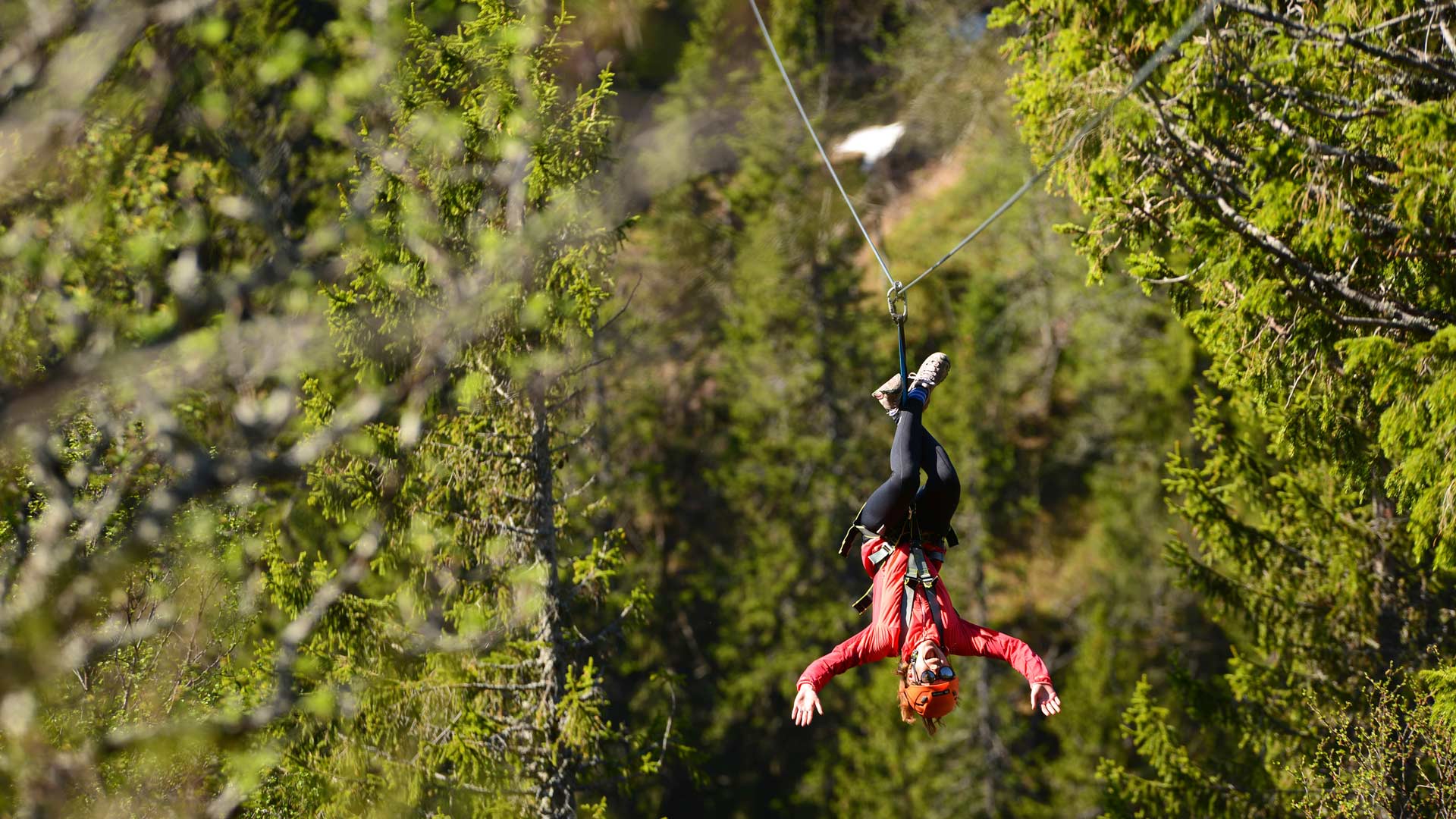 Zipline black Åre