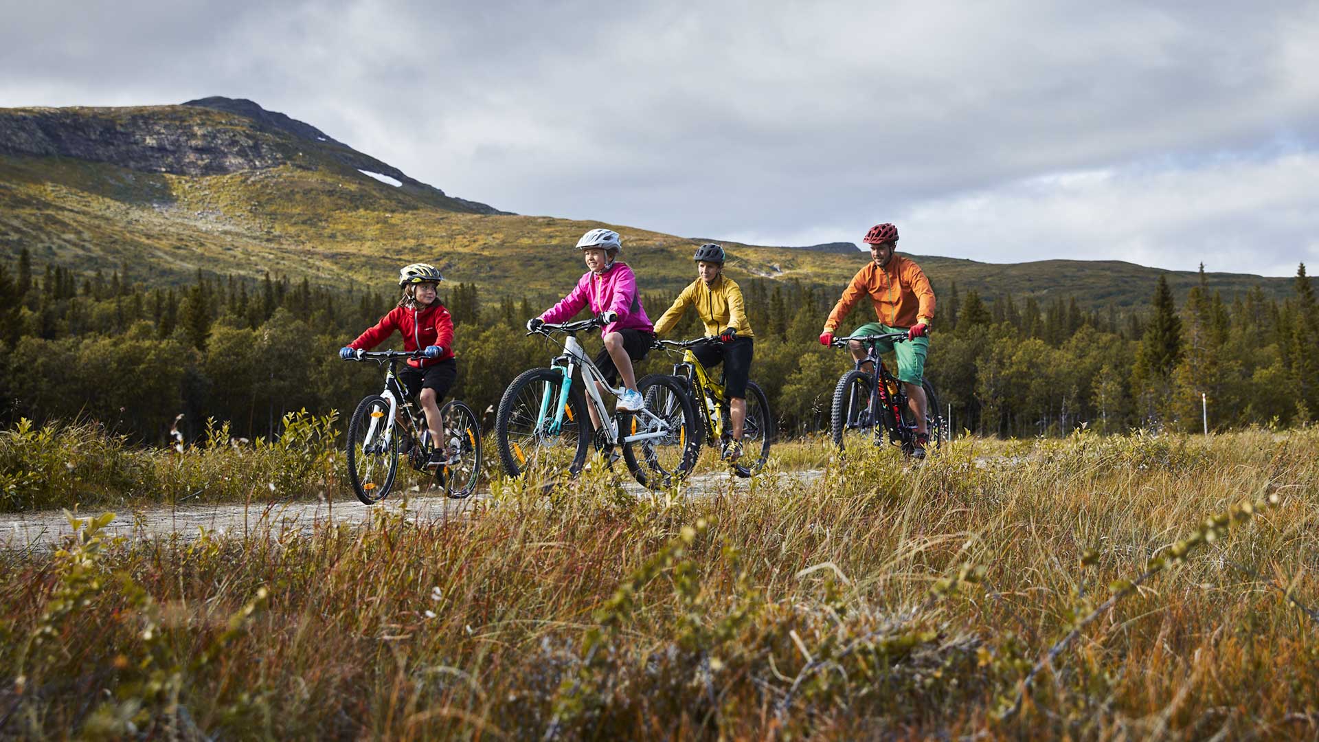 Familjecykling i Björnen