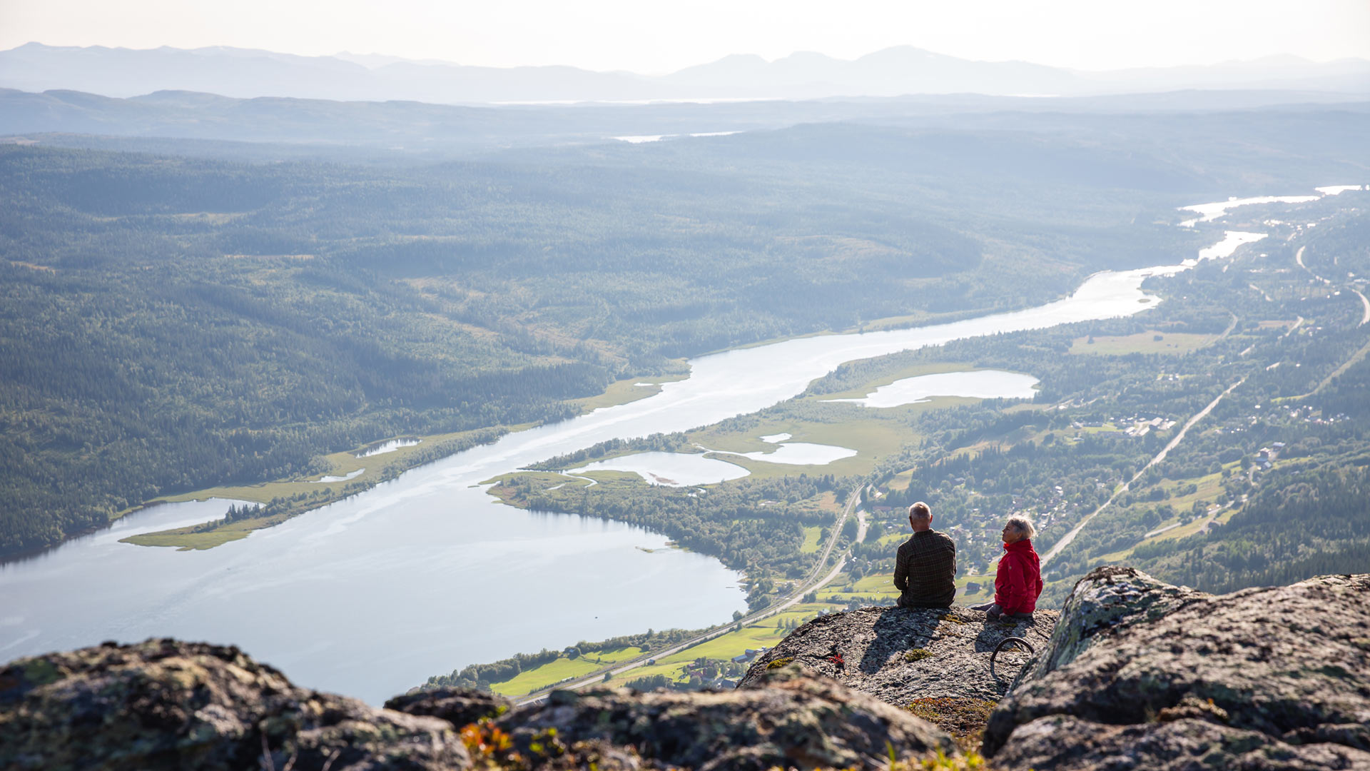 Mörvikshummeln Åreskutan