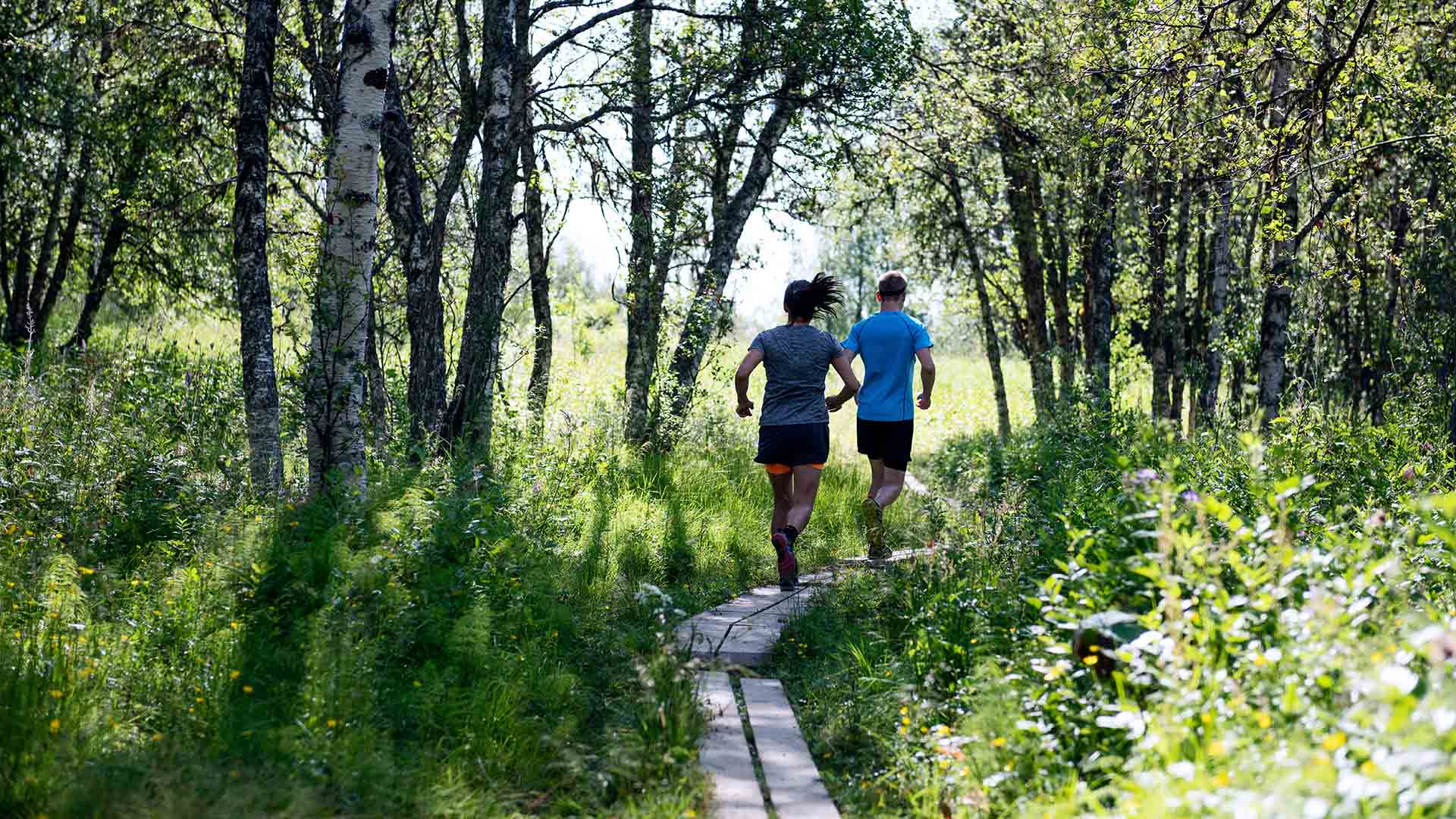 Springa i skogen