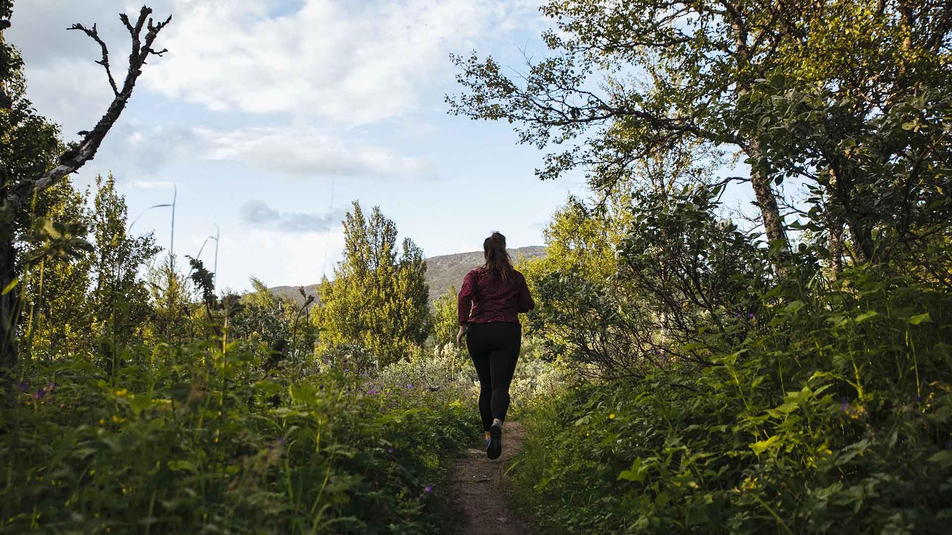 Testa trail running i Åre