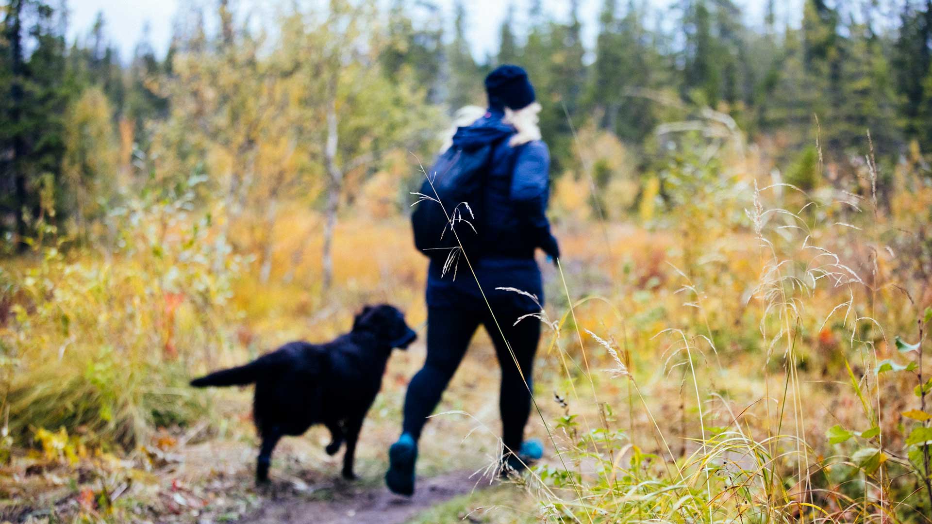 WOman and dog trail running