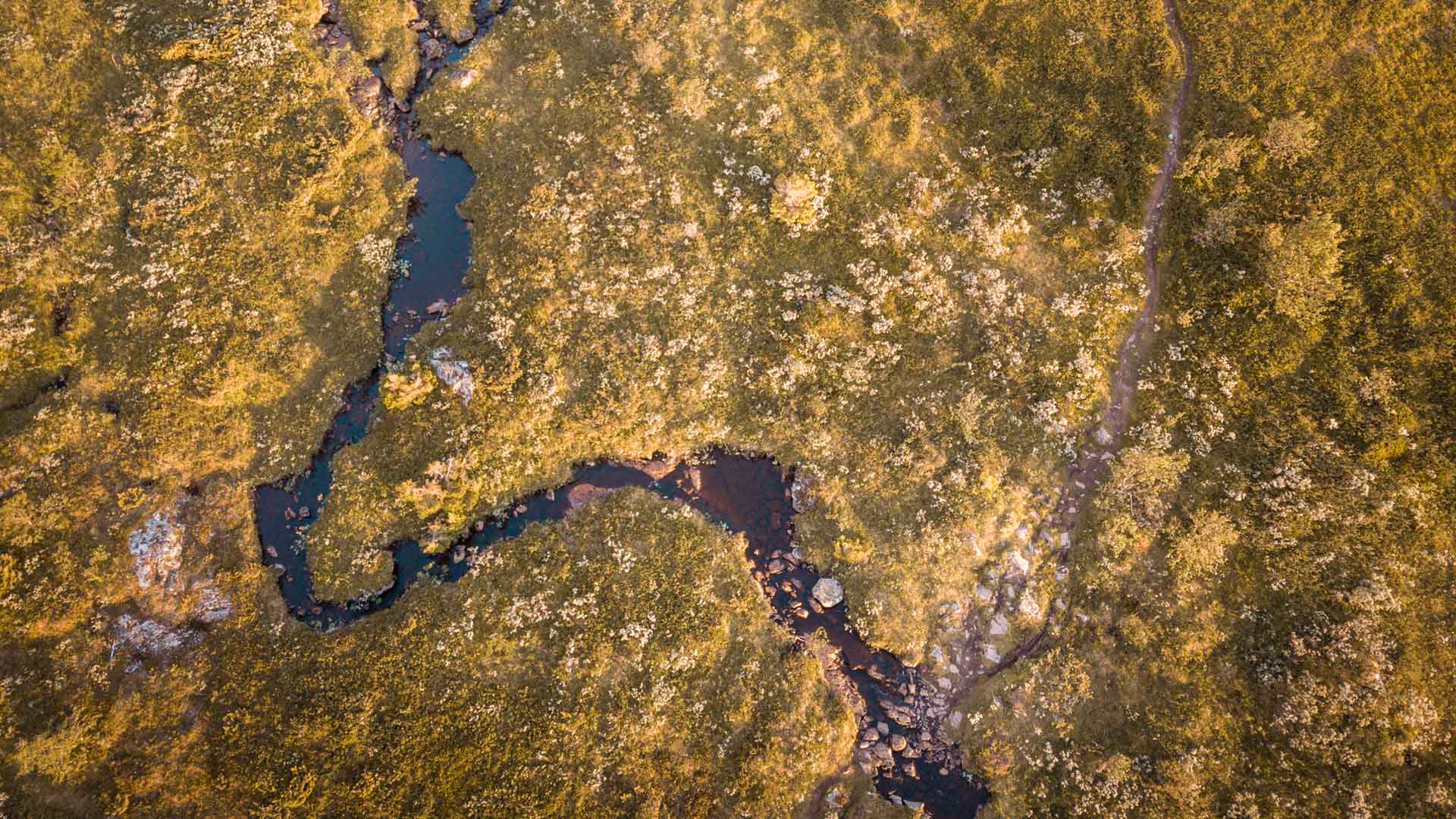 A bird's-eye view of the trail running routes on Åreskutan.