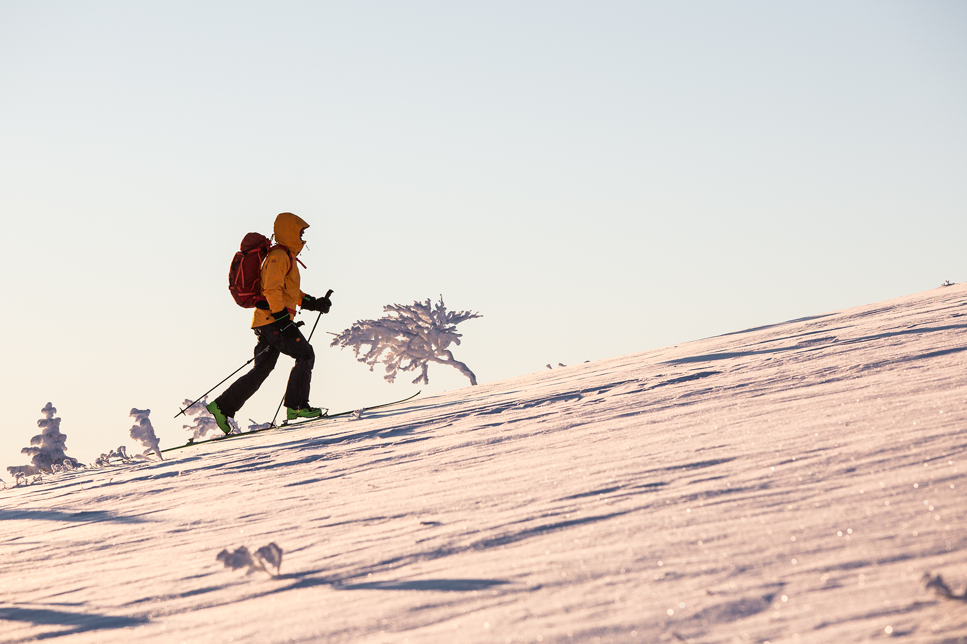 Åre ski touring