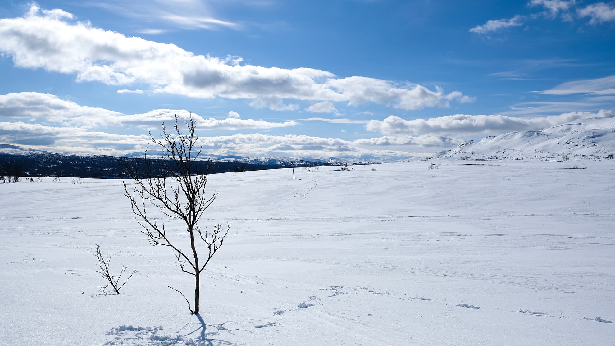 Rödkullen panorama