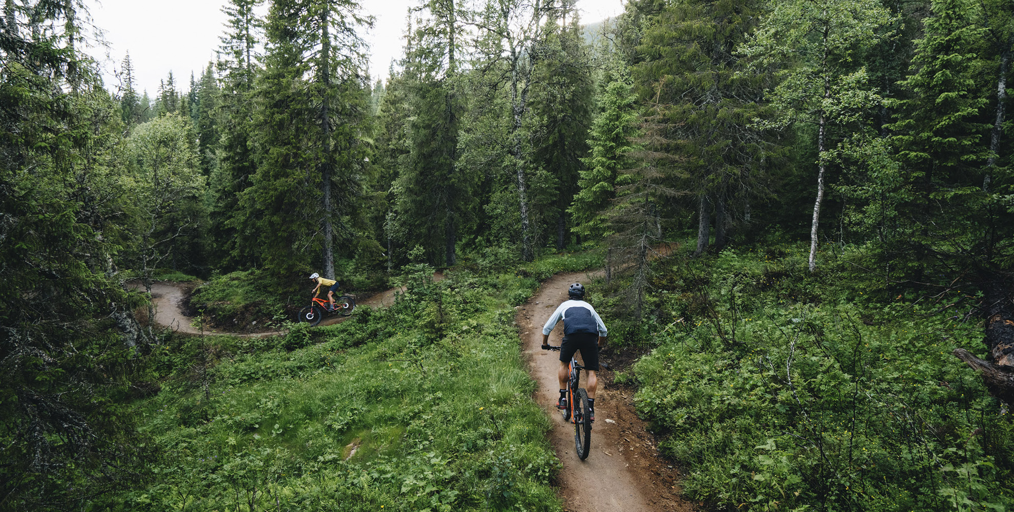 cykla stig i Åre Björnen
