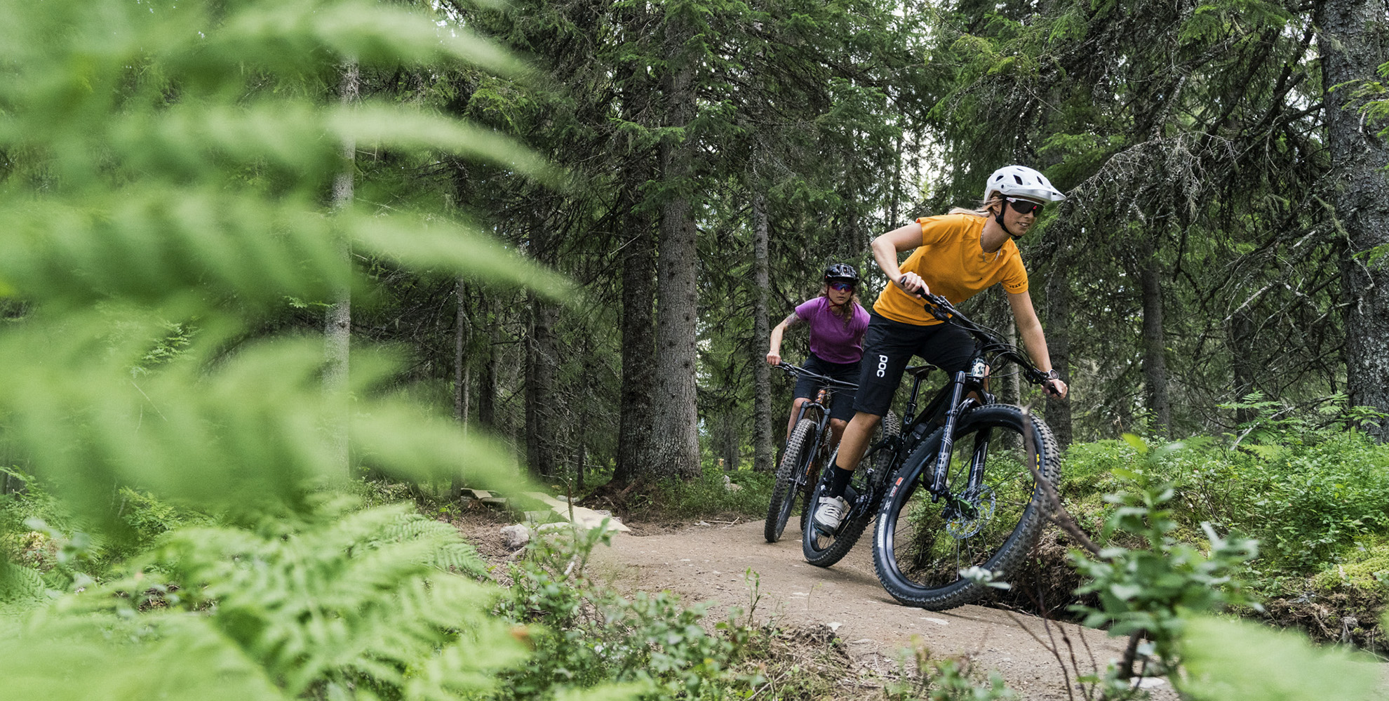 Åre Bike Park Trail | Trail Cycling in Björnen