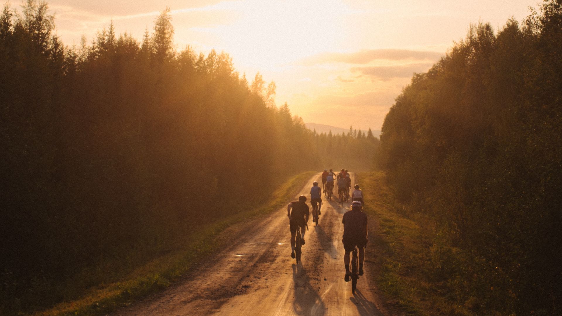 Gravelcykling i solnedgång i Åre
