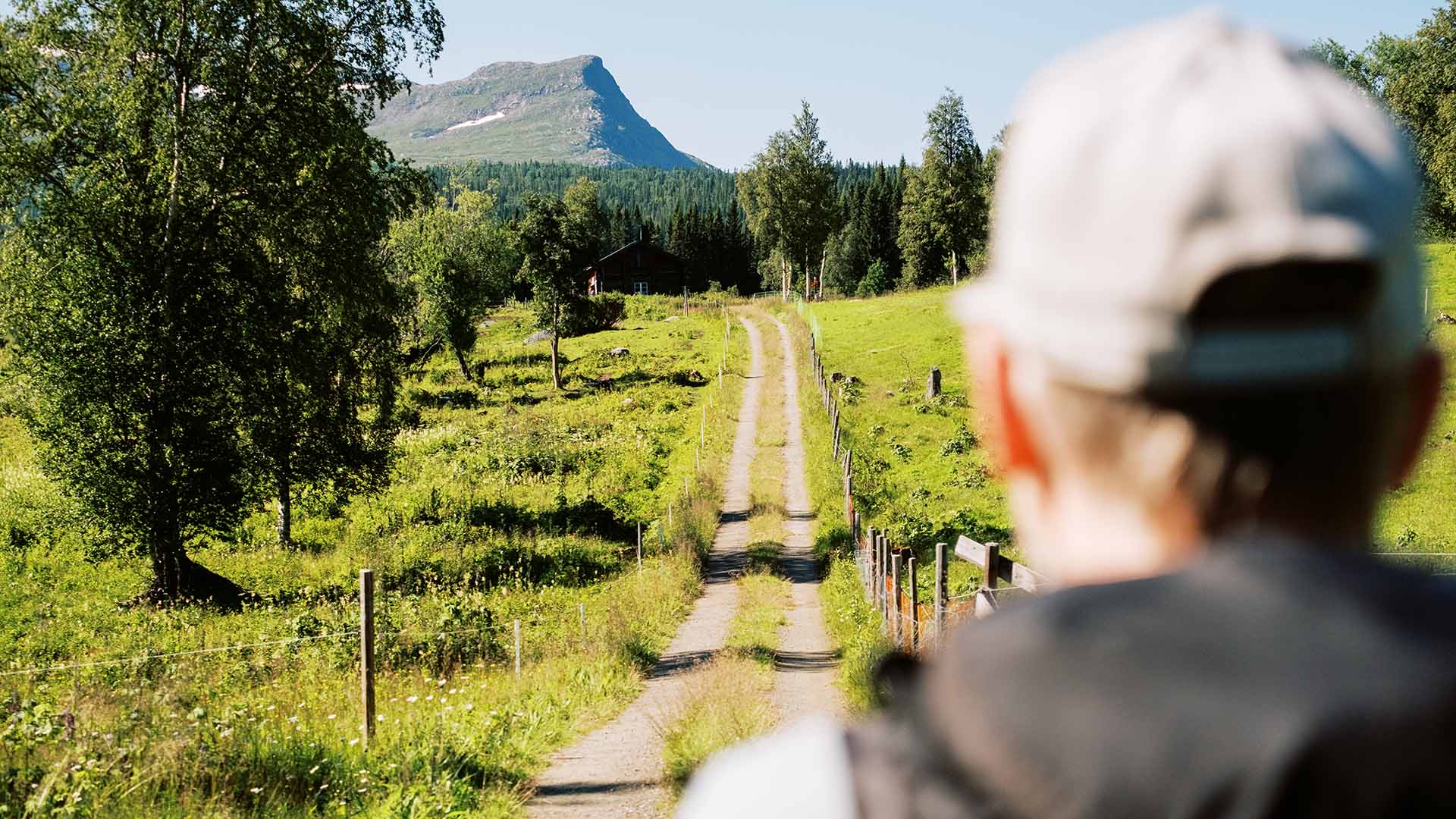 Man vandrar längs en skogsväg med fjäll som utsikt.