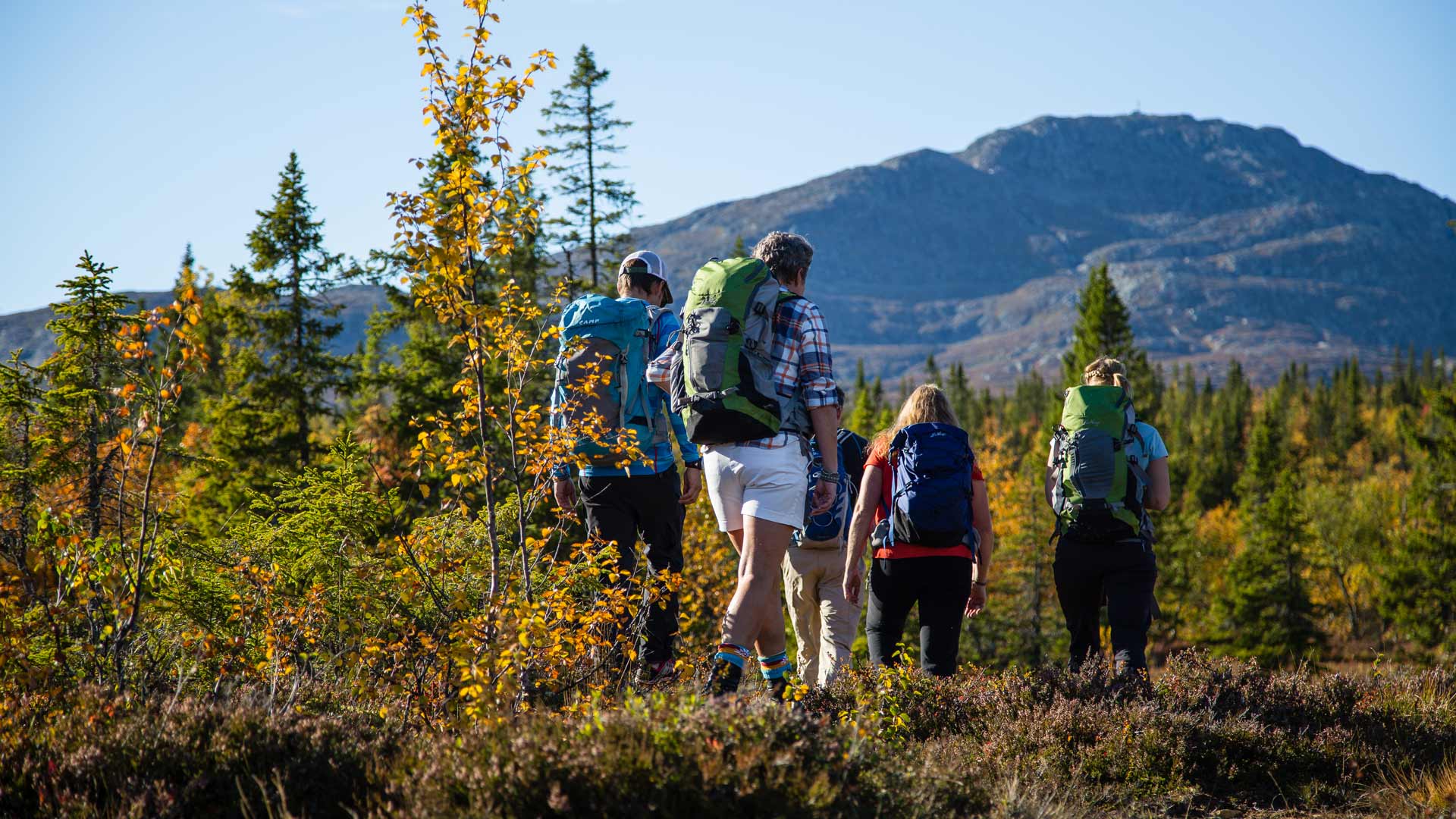 Höstvandring i Åre