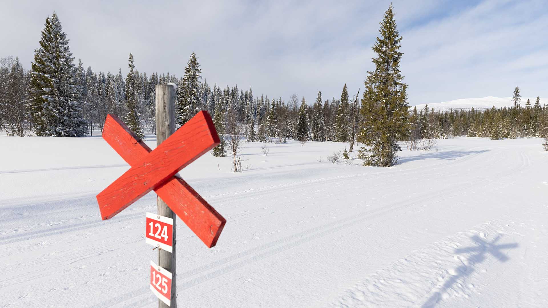 Ledkryss Åre