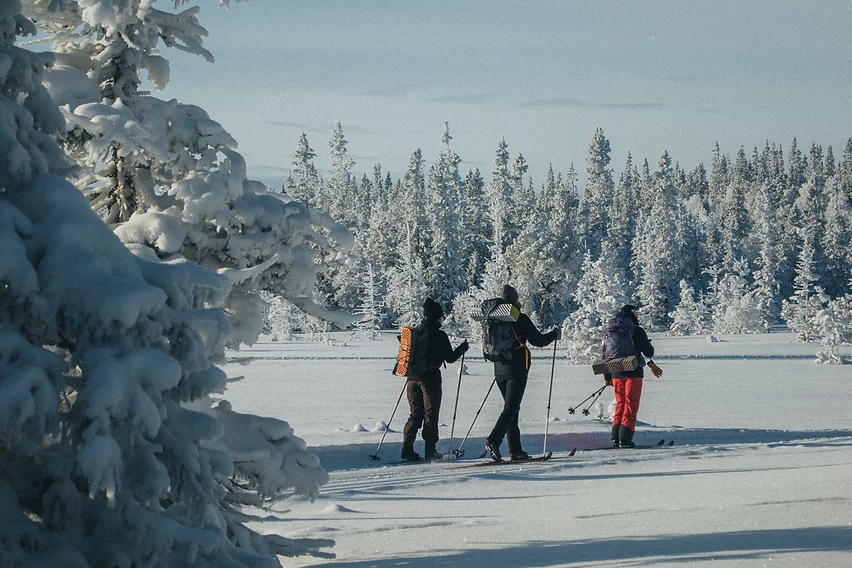 Three people backcountry ski touring on a sunny winter day.