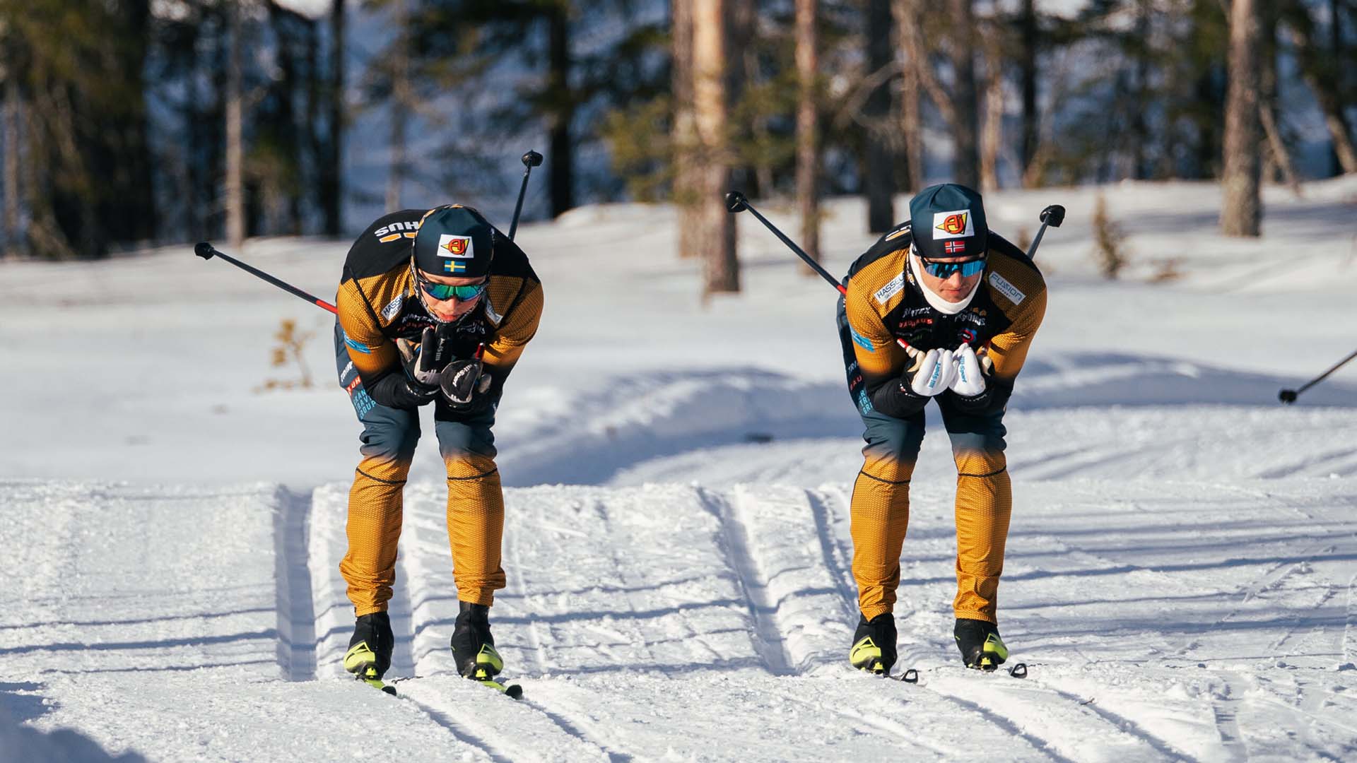 two cross country skiers on a sunny winter's day