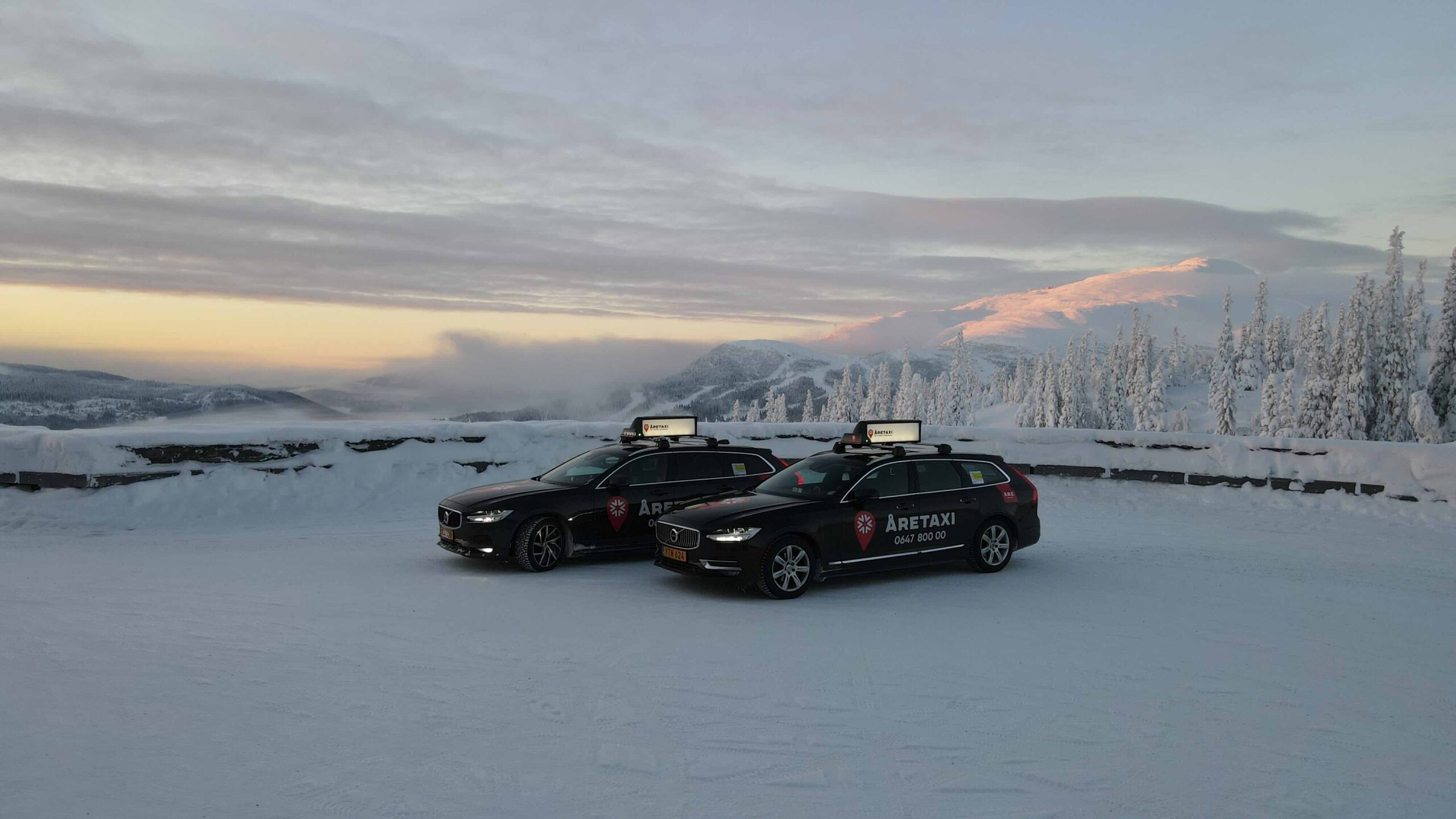 Två bilar från Åretaxi står med utsikt mot fjällen