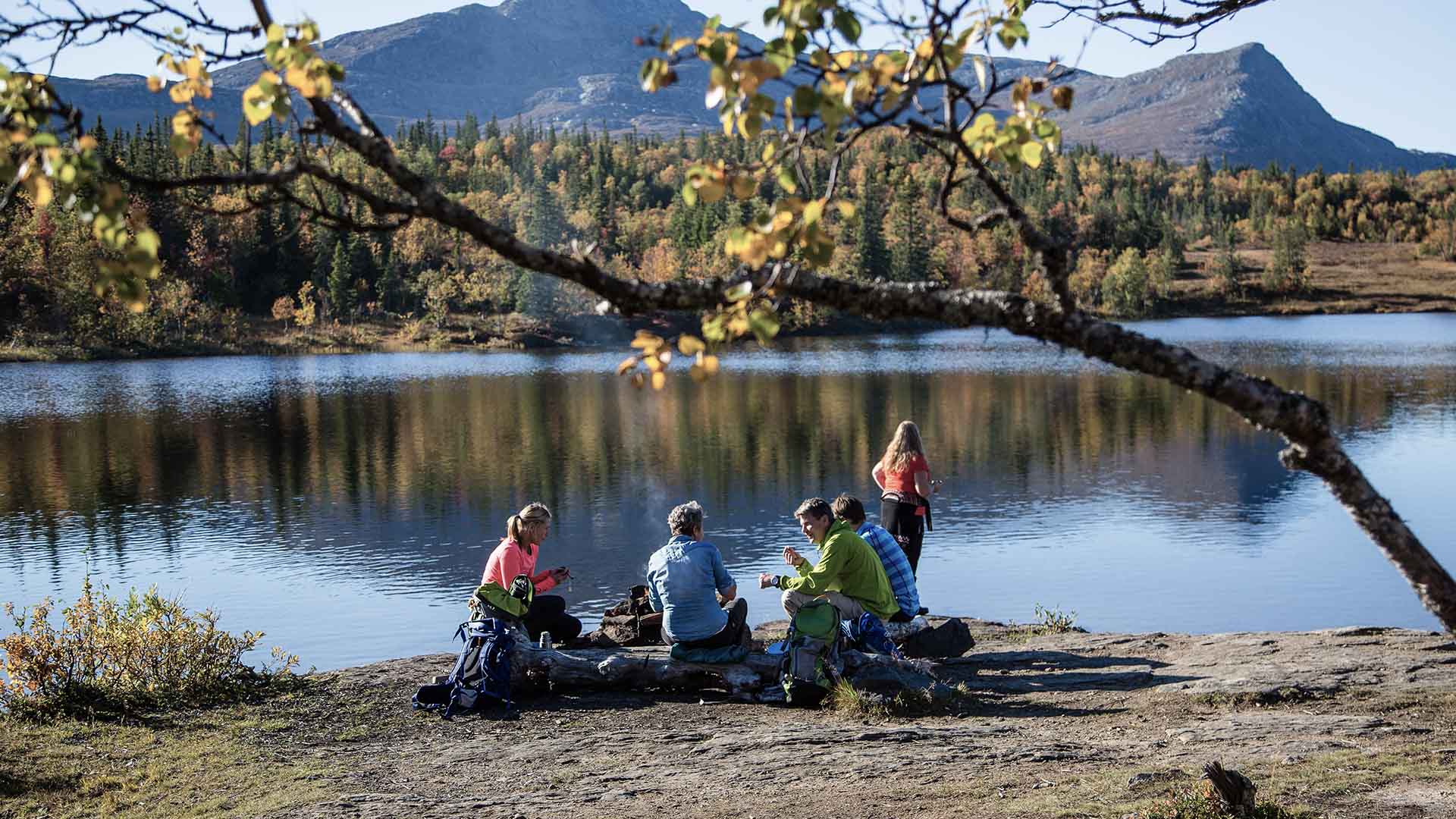 Åreganisationskonsulterna