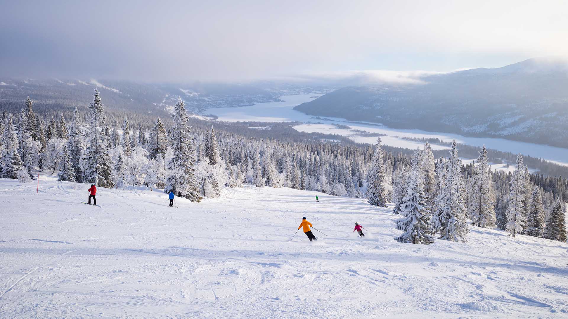 Skidåkning i Åre