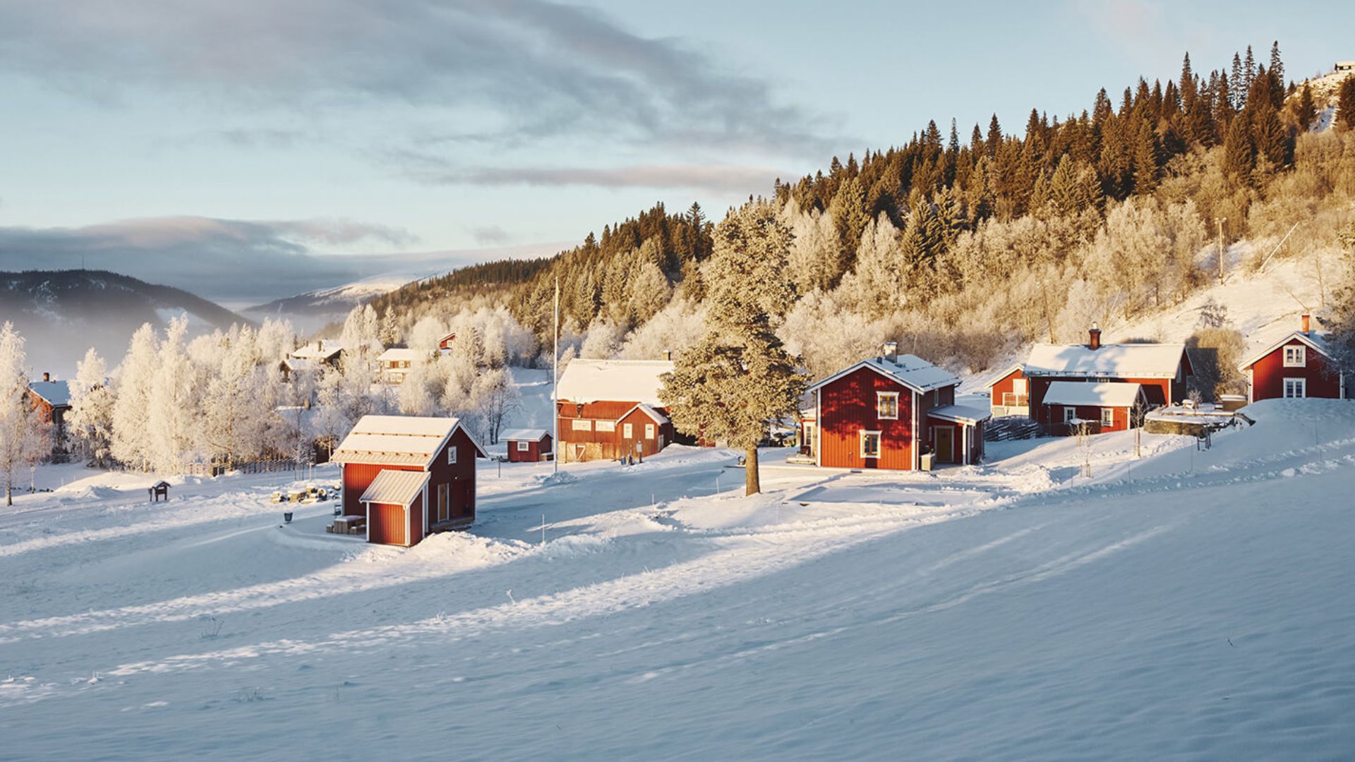 Björnänge Lodge