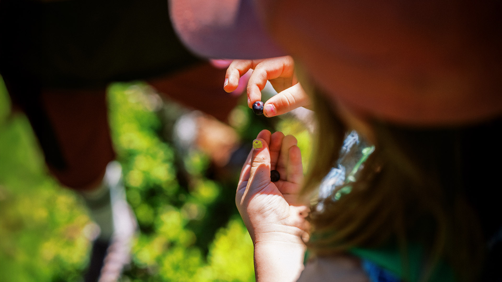A child holding blueberries in her hand.