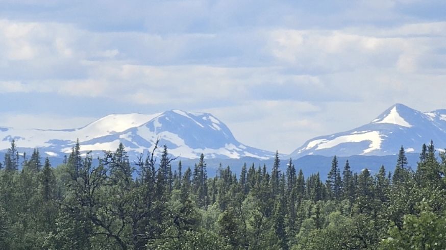 Life force activation Ă…re