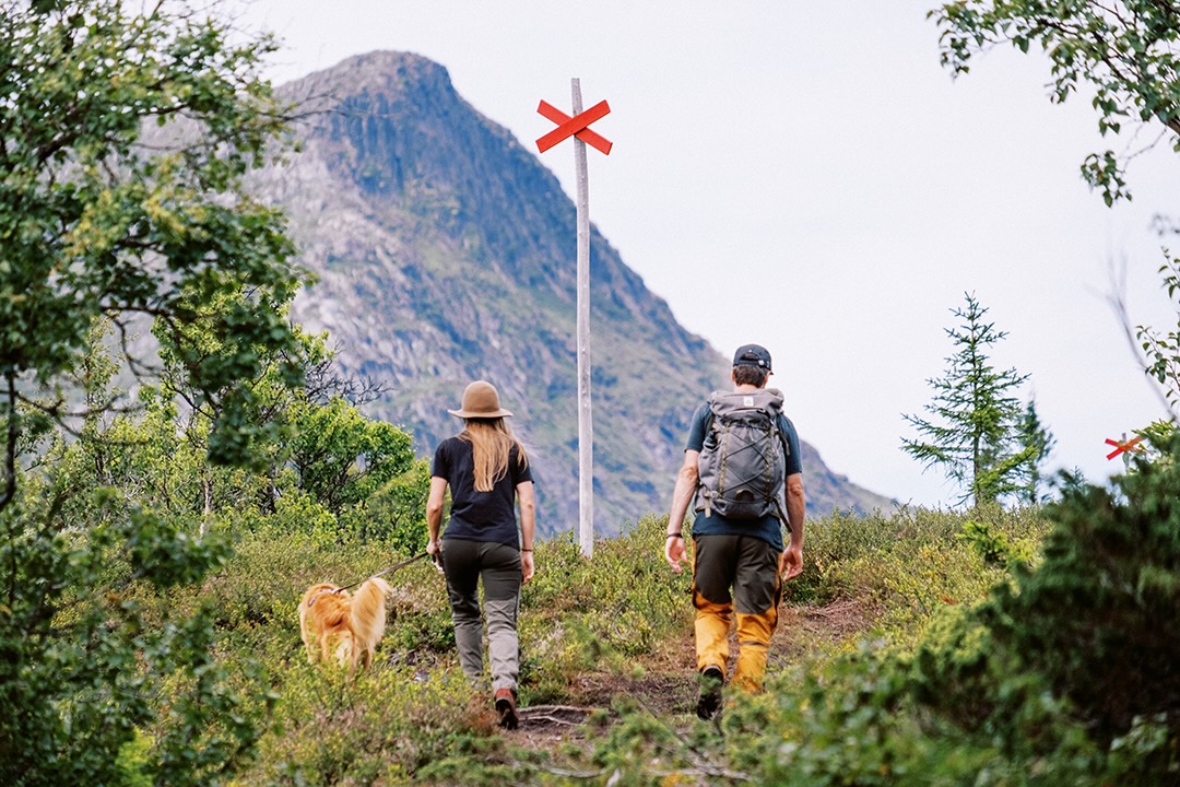Hike in Åre in summer