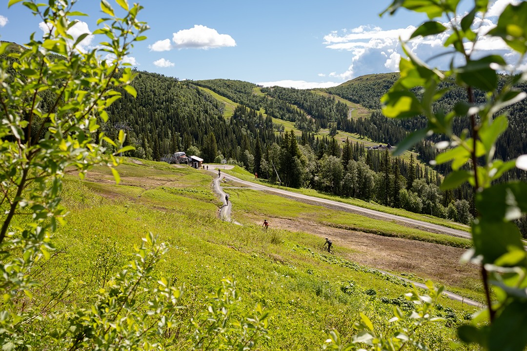 Åre Bike Park in June