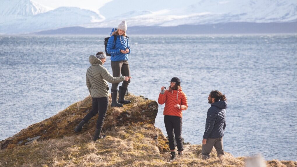 Varg utförsäljning i Åre