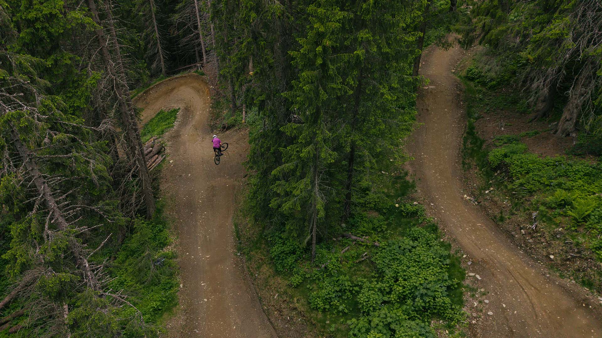 Ensam cyklist på slingrande leder i Åre Bike Park.