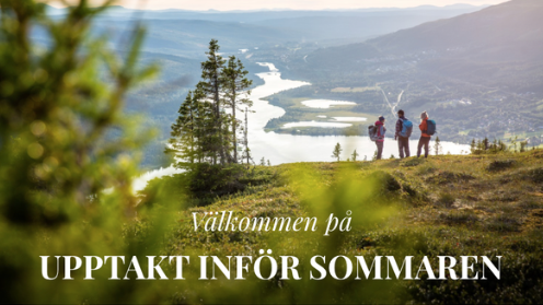Utsikt över Åresjön från Totthummeln i Åre