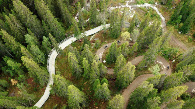 e-mtb i skogen i Åre