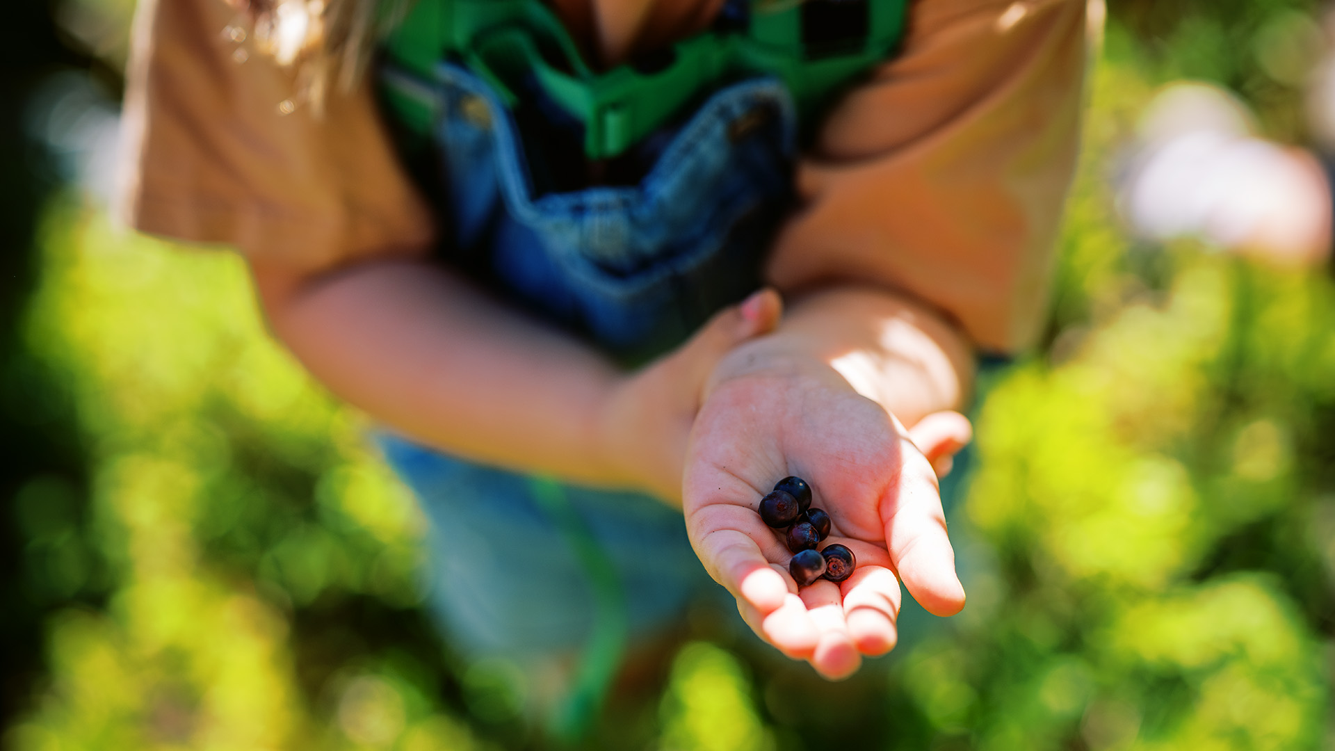 A child holding blueberries in its hand.
