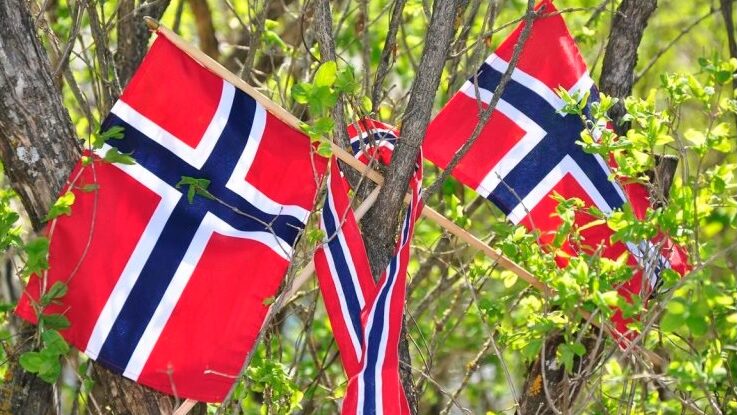 Norska flaggor i träd
