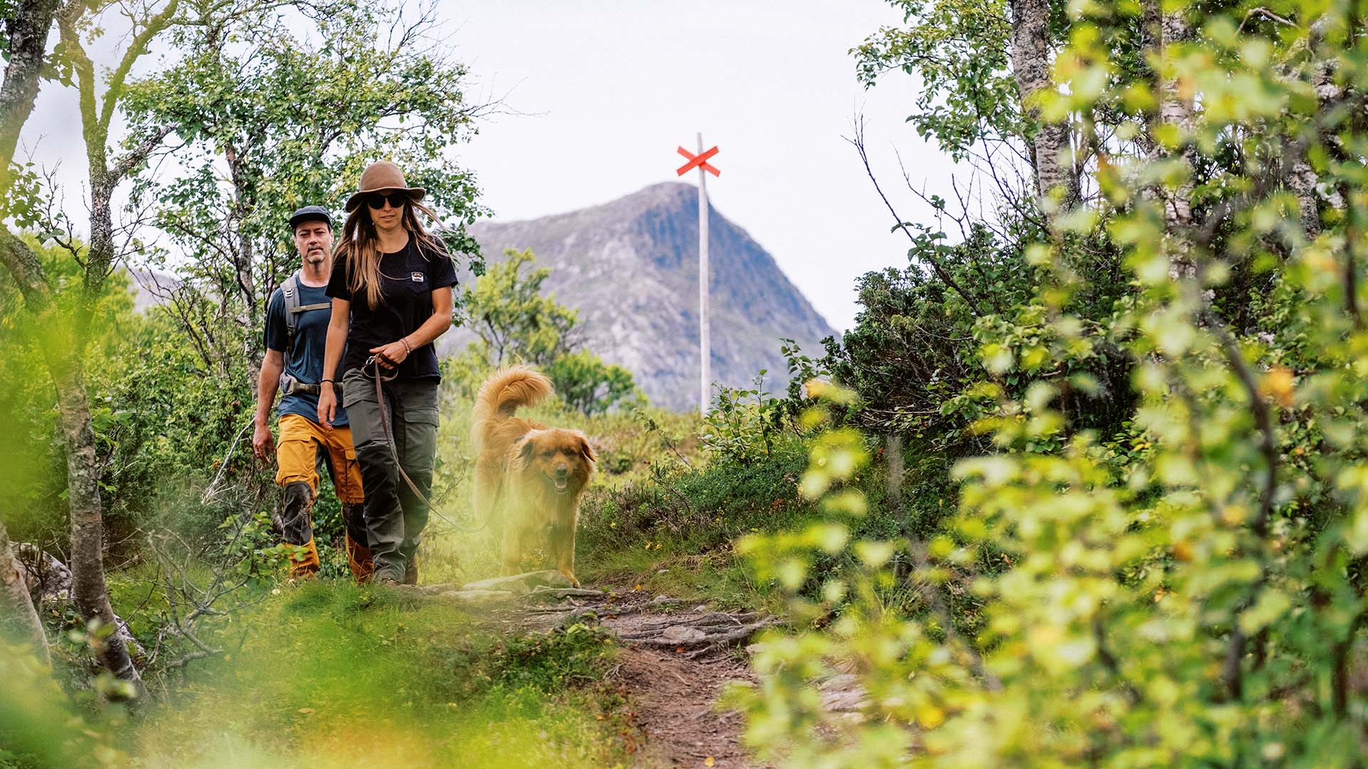 A couple with a dog hiking lush trails with Blåsten in the background