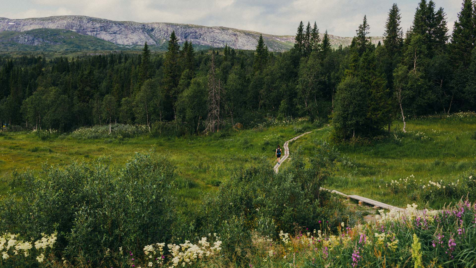 Sweeping mountain views over Ullådalen, with a boardwalk winding through the landscape and a woman hiking along the trail.